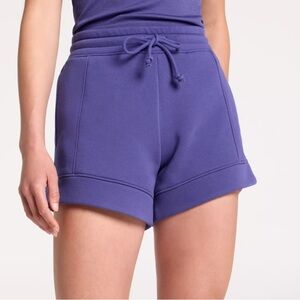 NWT DSG Women's Purple Casual Shorts